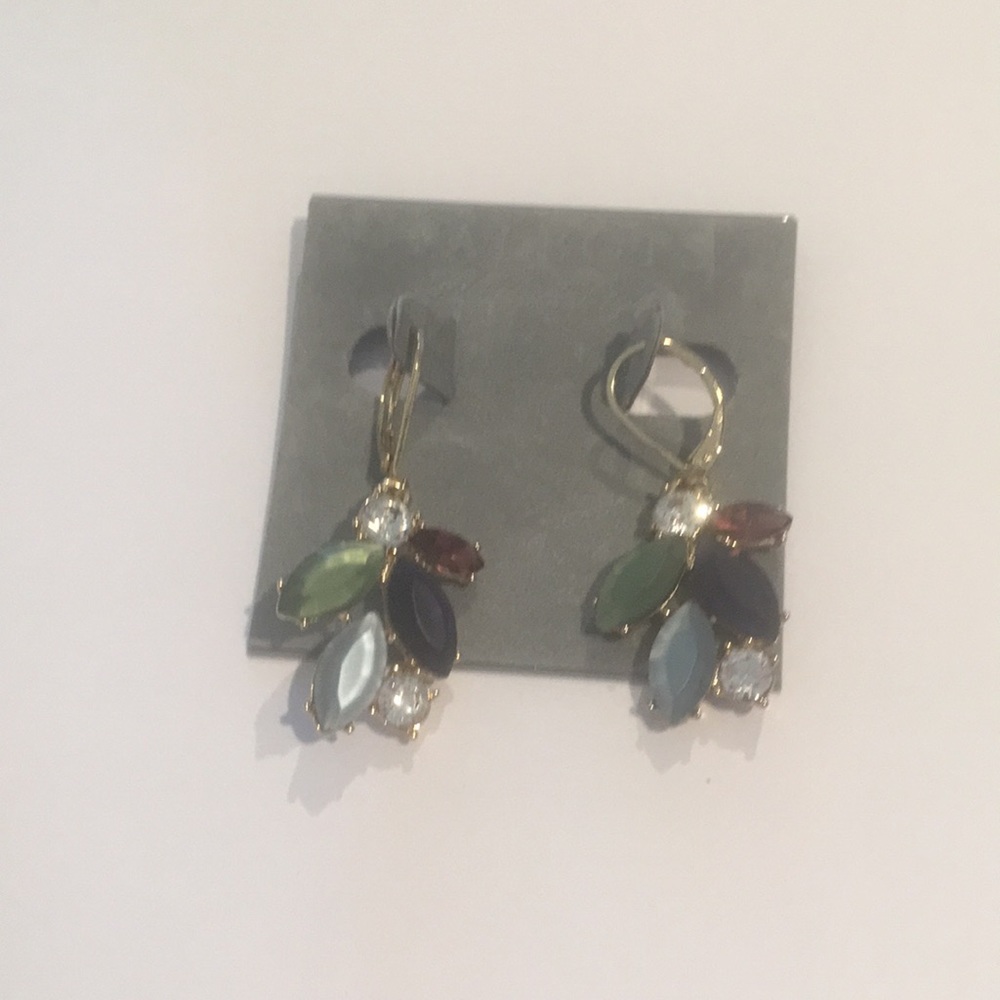 Talbots earrings